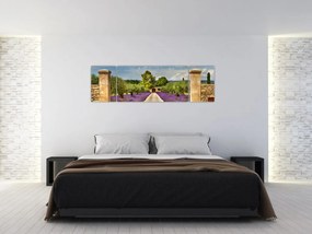 Obraz - Lawendowe ścieżki (170x50 cm)