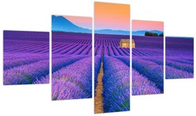 Obraz - Lewndowe pole (125x70 cm)