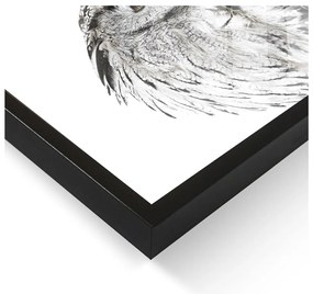 Obraz 50x70 cm Owl – Styler