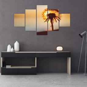 Obraz dmuchawca o zachodzie słońca (125x70 cm)