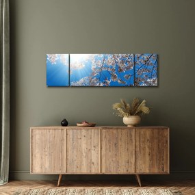 Obraz - Wiśniowe kwiaty (170x50 cm)