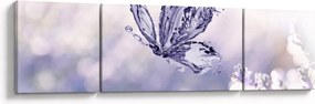 Obraz - Motyl i lawenda (170x50 cm)