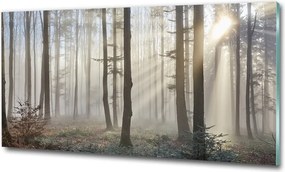 Foto obraz szkło hartowane Mgła w lesie