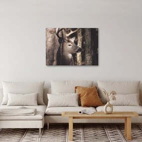 Obraz - Jeleń w lesie (70x50 cm)