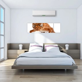 Obraz jaszczurki (170x50 cm)