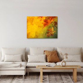 Obraz - Jesienne liście (70x50 cm)