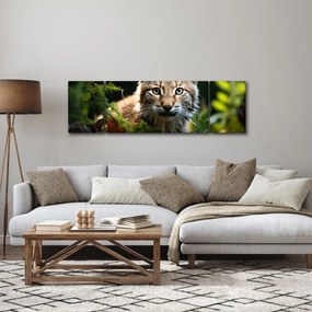 Obraz - Rysunek (170x50 cm)