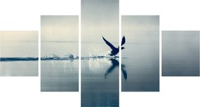 Obraz - Nury (125x70 cm)