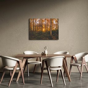 Obraz jesiennego lasu (70x50 cm)
