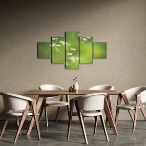 Obraz stokrotek (125x70 cm)