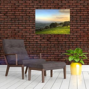 Obraz - Widok ze wzgórza (70x50 cm)