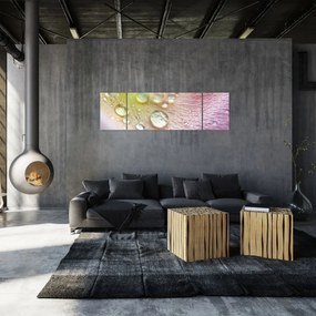 Obraz - Krople rosy (170x50 cm)