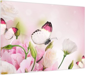 Obraz - Motyl (70x50 cm)