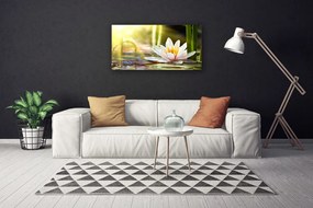 Obraz Canvas Kwiat Lilia Wodna