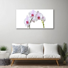 Obraz Canvas Storczyk Orchidea Kwiaty