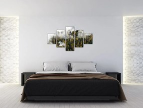 Obraz lasu w chmurach (125x70 cm)