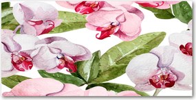Obraz zdjęcie szkło akryl Różowe orchidee