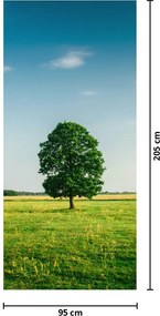 Fototapeta na drzwi - Drzewo na łące (95x205cm)