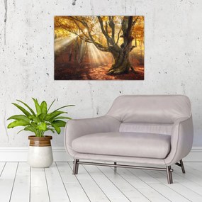 Obraz - Jesienny świt (70x50 cm)
