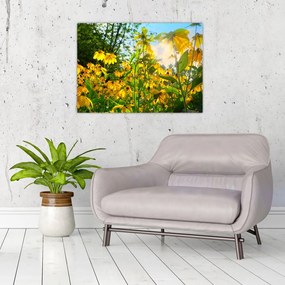 Obraz żółtych kwiatów (70x50 cm)