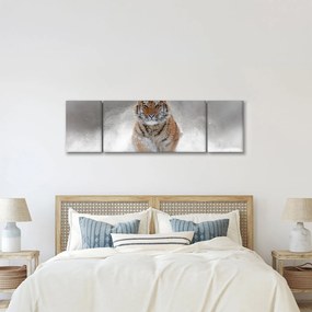 Obraz tygrysa biegnącego po śniegu (170x50 cm)