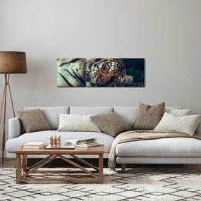 Obraz - tygrys syberyjski (z zegarem) (90x30 cm)