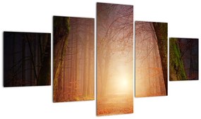 Obraz jesiennego lasu we mgle (125x70 cm)