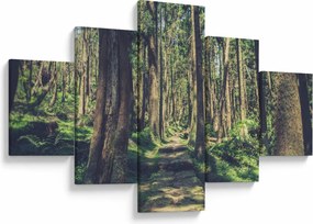 Obraz ścieżki pomiędzy drzewami (125x70 cm)