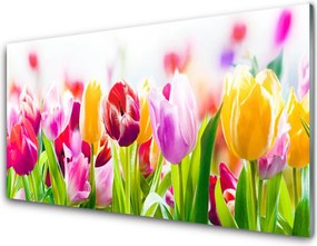 Szkło nad Blatem Tulipany W Porannym Słońcu