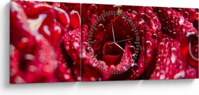 Obraz czerwonego kwiatu róży (z zegarem) (90x30 cm)