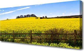 Obraz canvas Bezkres Złocistych Pól