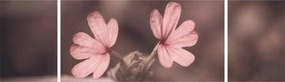Obraz kwiatu róży (170x50 cm)