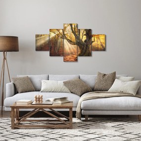 Obraz - Jesienny świt (125x70 cm)