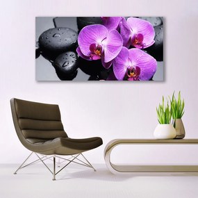 Fotoobraz na płótnie Elegancki Rozkwit Kwiatu