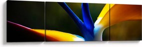 Obraz - Egzotyczny kwiat (170x50 cm)