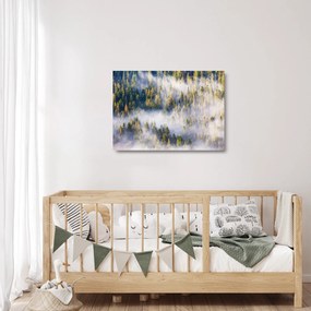 Obraz na szkle drzew we mgle (70x50 cm)
