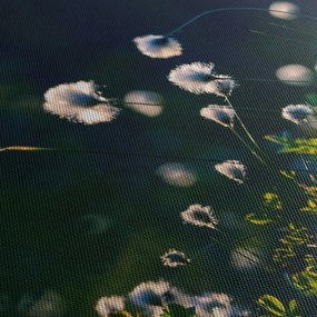 Obraz - Trawa (125x70 cm)