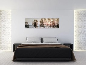 Obraz - Poranna suchość (170x50 cm)