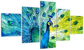 Obraz pawia (125x70 cm)