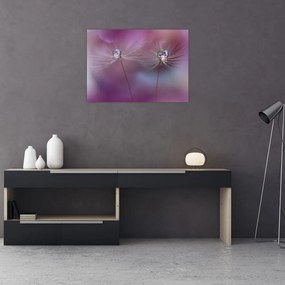Obraz kropelek na puchu (70x50 cm)