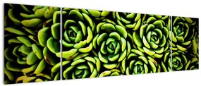 Obraz bez grzywki (170x50 cm)