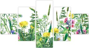 Obraz - Malowane kwiaty łąkowe (125x70 cm)