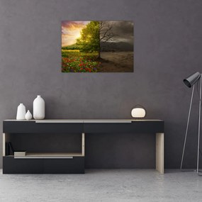 Obraz na szkle - Cykl życia (70x50 cm)