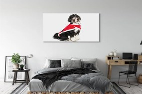 Obraz na płótnie Wierny Pies