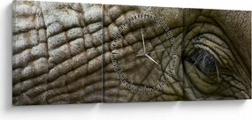 Obraz - Zbliżenie na stare oko słonia (z zegarem) (90x30 cm)