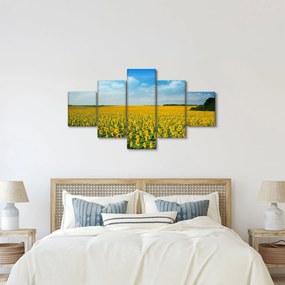 Obraz - ciąg słoneczników (125x70 cm)
