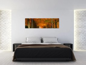 Obraz - Aleja drzew jesienią (170x50 cm)