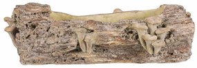 Opakowanie betonowe - skrzynka, drewno z grzybami,41 x 19 x 13 cm, brązowe