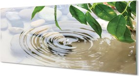 Szklany Panel Krystaliczny Plusk Wody