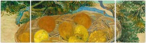 Obraz - Vincent van Gogh, Still Life of  Oranges and Lemons with  Blue Gloves, reprodukcje (170x50 cm)
